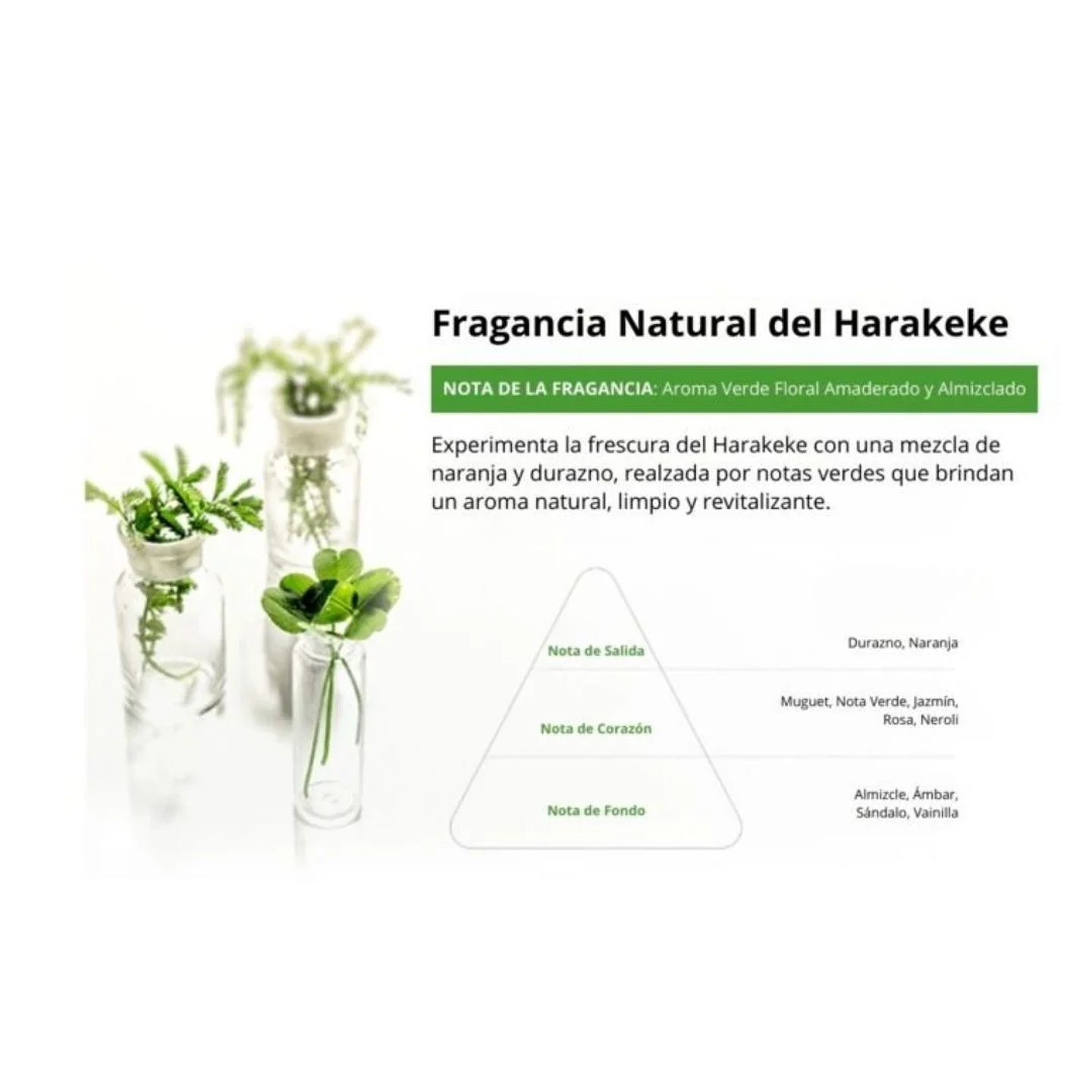 Crema Contorno Ojos Harakeke Deep Moisture Eye Cream 7