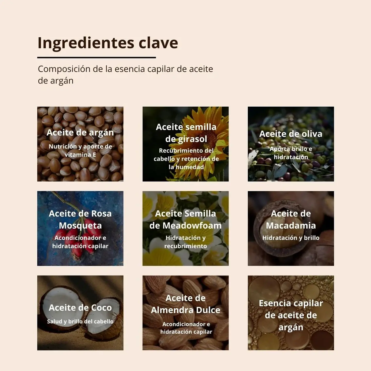 Tratamiento Capilar Hair Essence Oil Venus 100ml 6