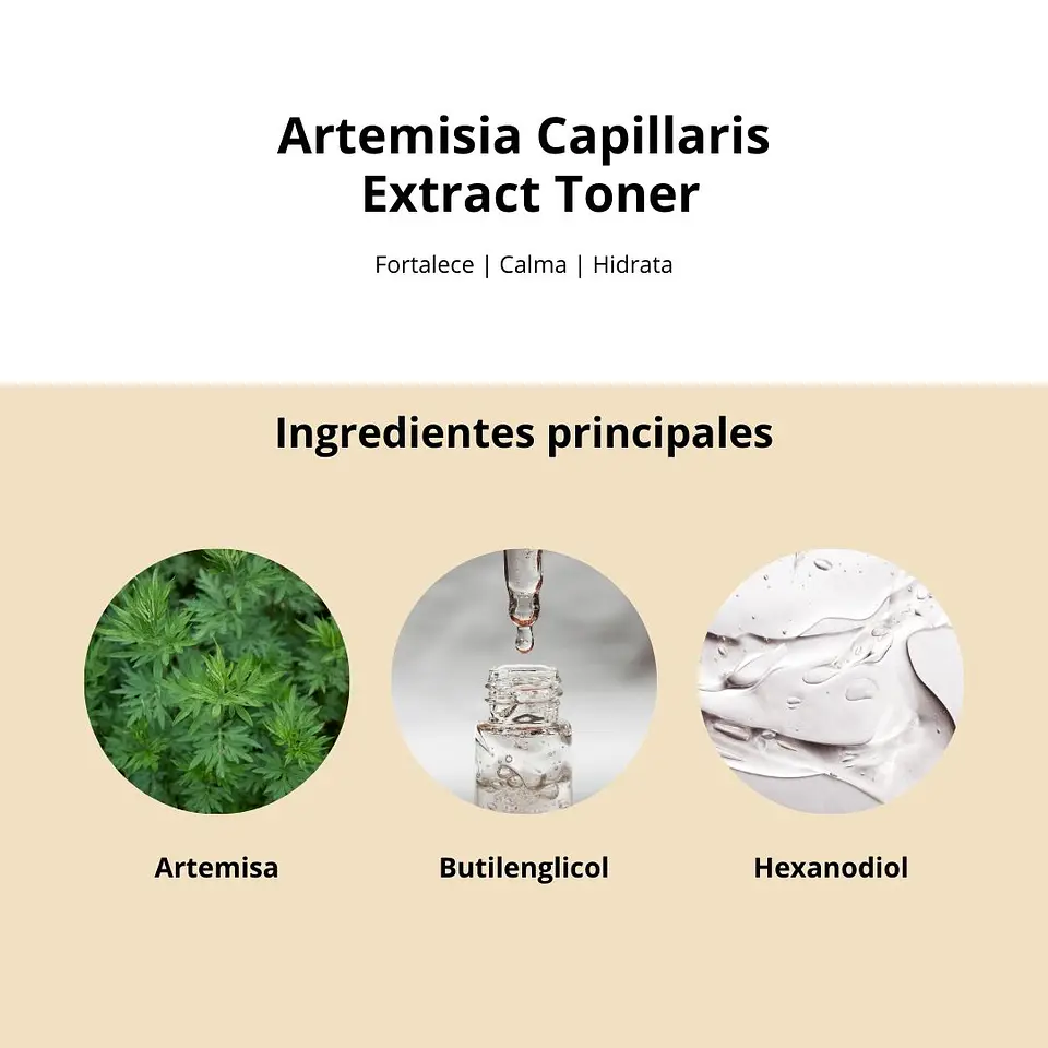 Tónico Artemisia Capillaris Extract Toner 40 ml 5
