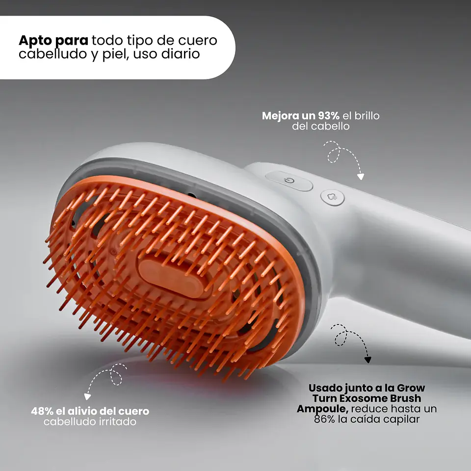 Brush Steam Booster 2