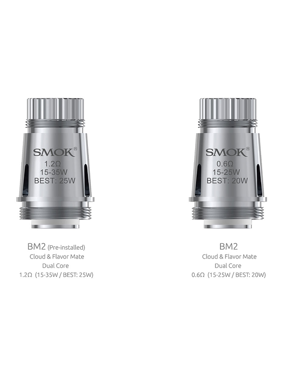 resistencias smok Brit Mini BM2