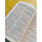 Biblia Tamaño Manual RVR60 Rosa 3