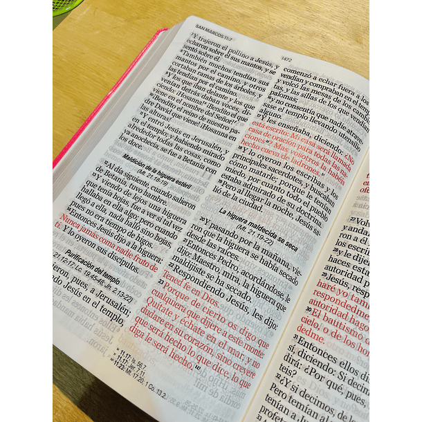 Biblia Letra Súper Gigante RVR60 Fucsia 2