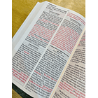 Biblia Letra Grande Tamaño Manual RVR60 2