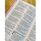 Biblia Edición Promesas Letra Gigante RVR60 Fucsia 3