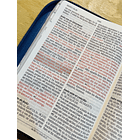 Biblia Edición Promesas Letra Gigante Con Índice y Cierre RVR60 Azul 2
