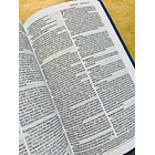 Biblia Tamaño Manual NTV Azul 2