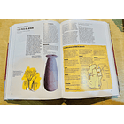 Un Viaje a través de la Biblia 2