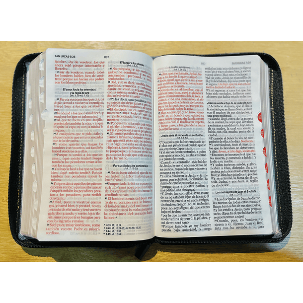 Biblia Tamaño Manual Letra Grande RVR60 Con Índice y Cierre Jeans/Negro 2