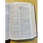 Biblia de Estudio Matthew Henry RVR1977 2