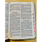 Biblia Letra Súper Gigante RVR60 Con Índice Negro 2