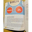 Guía de Teología Visual de la Biblia  2