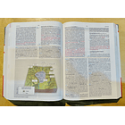Biblia de Estudio Holman RVR60 2