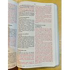 Biblia Tamaño Manual Letra Grande RVR60 Rey de Reyes 2