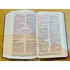 Biblia de Estudio para Jóvenes 3