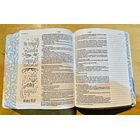 Biblia Inspira Nueva Traducción Viviente (NTV) 3
