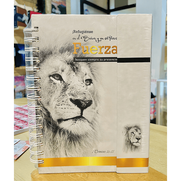 Cuaderno Imantado Tamaño Manual 140 hjs  “Fuerza” 1