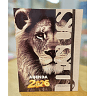Agenda 2026 Tamaño Manual León 1