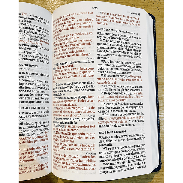 Biblia Tamaño Manual Letra Grande RVR60 Azul Marino 3