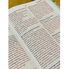 Biblia Tamaño Manual RVR60 2