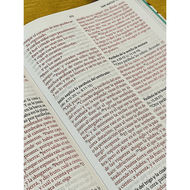Biblia Tamaño Manual RVR60 2