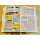 Biblia de Promesas para Niños Tamaño Manual  RVR60 2