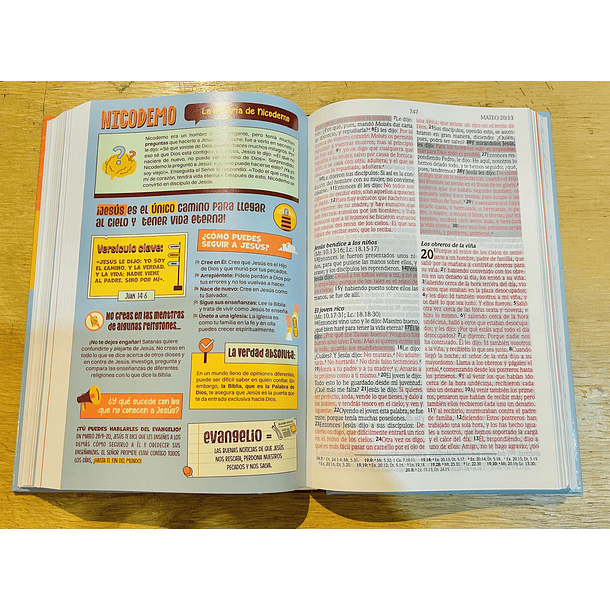 Biblia de Promesas para Niños Tamaño Manual  RVR60 2