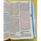 Biblia Letra Gigante Tamaño Manual RVR60 Ancla  2