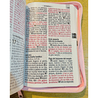 Biblia Letra Grande Tamaño Manual RVR60 Con Funda Rosa/Fucsia 2