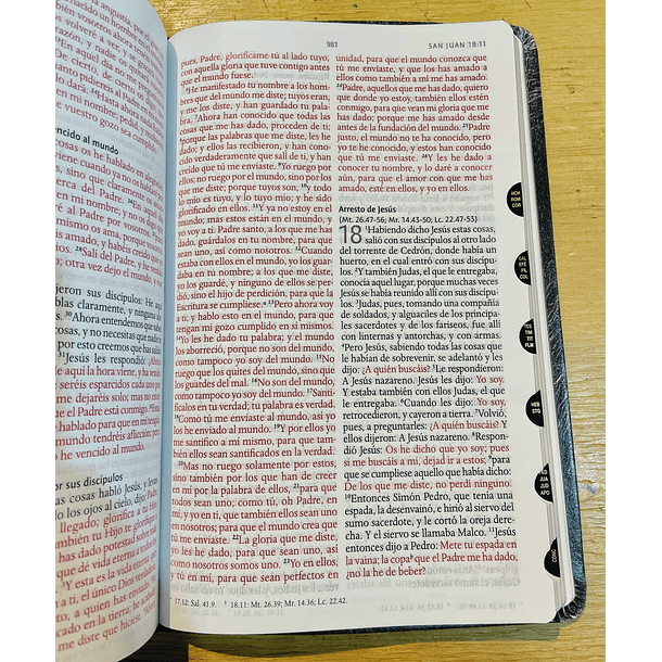 Biblia Tamaño Manual RVR60 Con Índice León 2