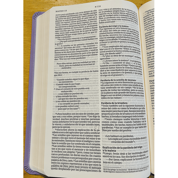 Biblia Tamaño Manual Nueva Traducción Viviente Morado 3