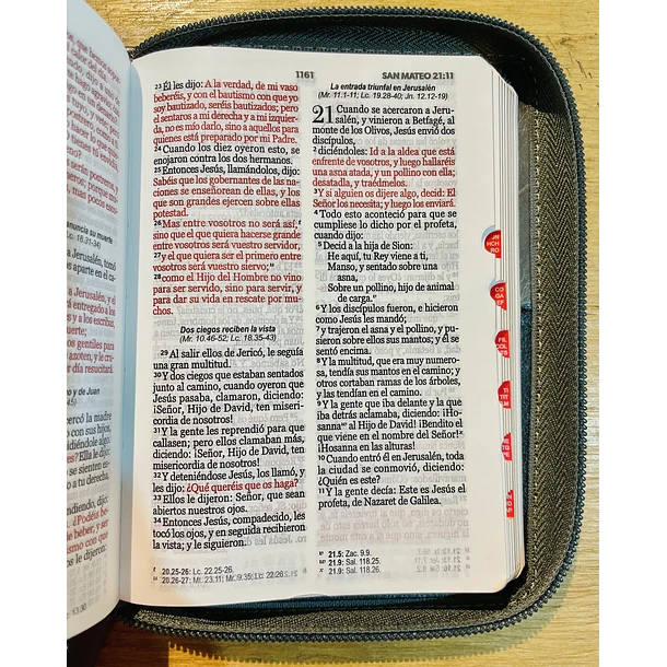 Biblia Compacta RVR60 Con Índice y Cierre León Negro/Gris 2