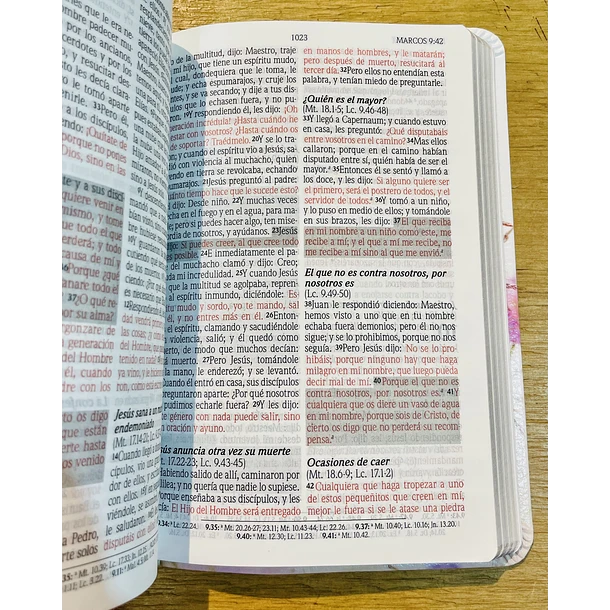 Biblia Compacta Edición Promesas RVR60 Floral 3