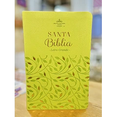 Biblia Tamaño Manual Letra Grande RVR60 Verde