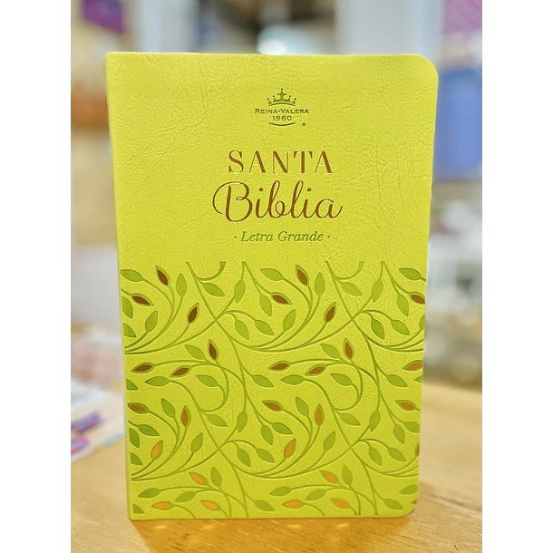 Biblia Tamaño Manual Letra Grande RVR60 Verde 1