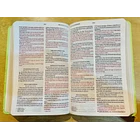 Biblia Tamaño Manual Letra Grande RVR60 Verde 2