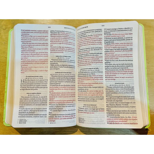 Biblia Tamaño Manual Letra Grande RVR60 Verde 2