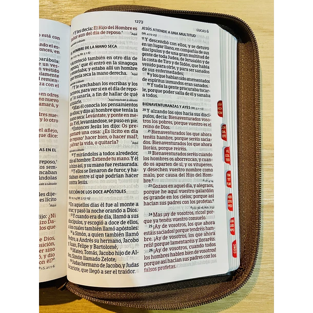 Biblia Tamaño Manual Letra Grande RVR60 Con Índice y Cierre Café 3