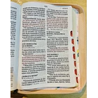 Biblia Tamaño Manual Letra Gigante RVR60 Con Índice y Cierre Floral 3