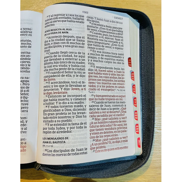 Biblia Tamaño Manual Letra Gigante RVR60 Con Índice y Sin Cierre Azul Marino 3