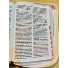 Biblia Tamaño Manual Letra Grande RVR60 Con Índice y Cierre Multicolor 3