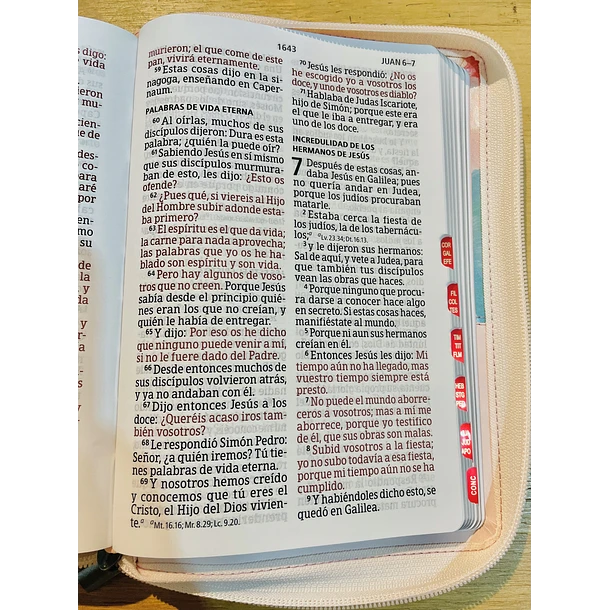 Biblia Tamaño Manual Letra Grande RVR60 Con Índice y Cierre Multicolor 3