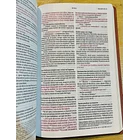 Biblia Tamaño Manual Nueva Traducción Viviente Café 3