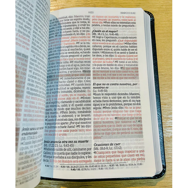 Biblia Compacta RVR60 Edición Promesas Negro 3