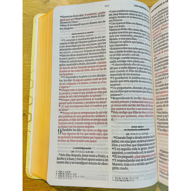 Biblia Tamaño Manual Letra Grande RVR60 Amarillo 2