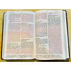 Biblia Tamaño Manual RVR60  León 2