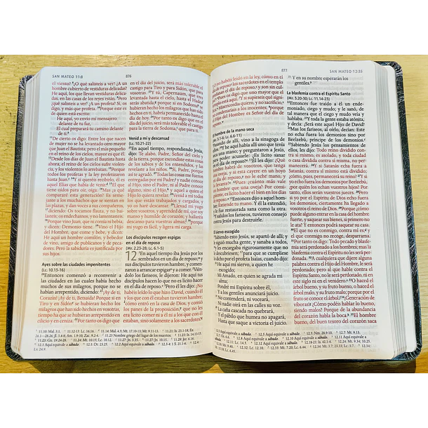 Biblia Tamaño Manual RVR60  León 2