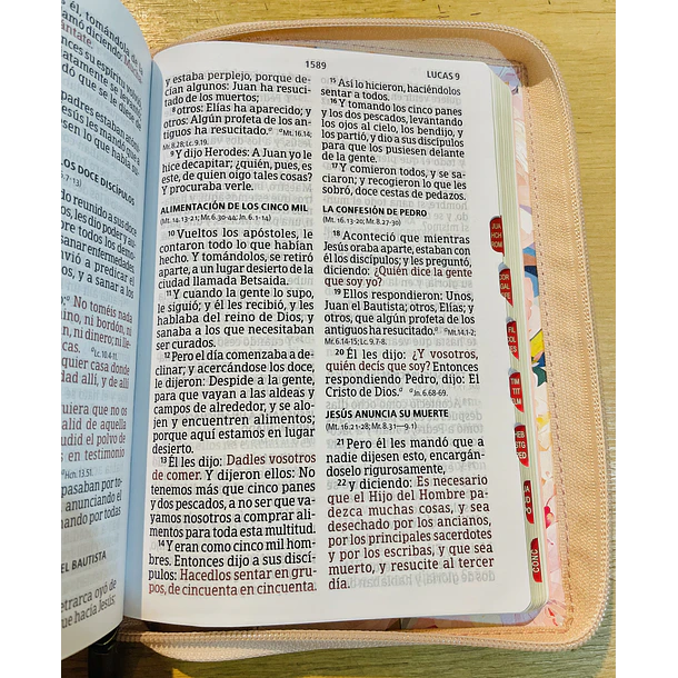 Biblia Tamaño Manual Letra Gigante RVR60 Con Índice y Cierre Rosa Floral 3