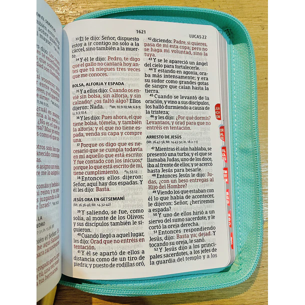 Biblia Compacta Letra Grande RVR60 Con Índice y Cierre Multicolor 3