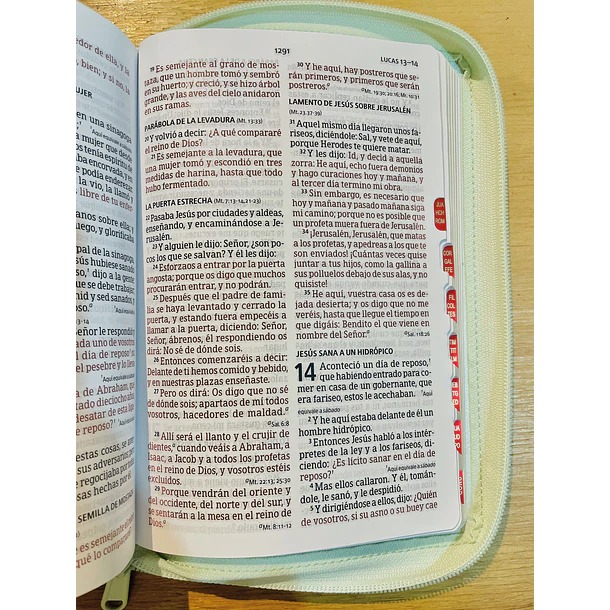 Biblia Tamaño Manual Letra Grande RVR60 Con Índice y Cierre Menta Floral 3